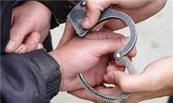 کشف و ضبط 35سکه باستانی در قلعه رئیسی کهگیلویه