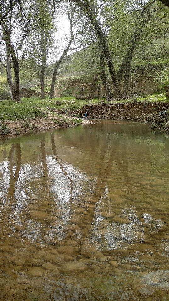 خسارات بارندگي در گچساران /ازقطع راه روستایی تا واژگونی سواری پژو