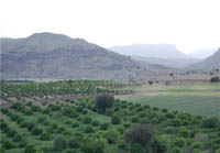 گردشگران روستای تراب را درکهگیلویه از دست ندهند +تصاویر
