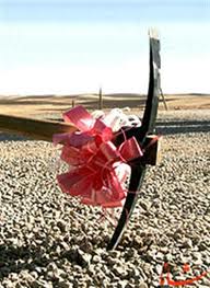 آیا نام زارعی با چکمه های آهنین در تاریخ بویراحمد ماندگار خواهد شد؟