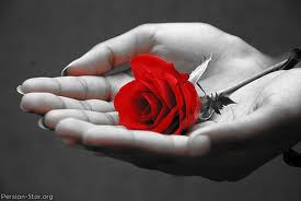 برای پاسداری که دوستش دارم/پاسدار که باشی دلت غنچ می رود برای گذشت،برای مهربانی،برای صلح …