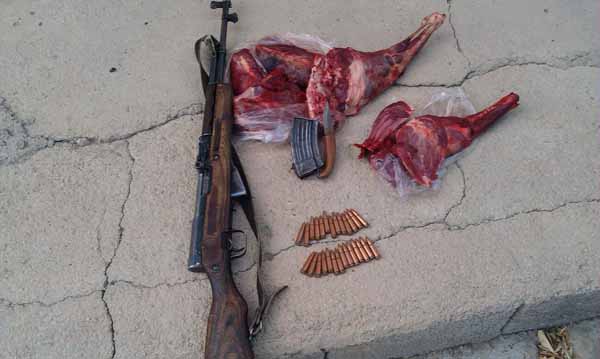 کشته شدن 2بز کوهی توسط شکارچیان متخلف و درگیری با محیط بانان کهگیلویه +تصاویر