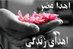 زنی که توانست با مرگ خود جان سه نفر را نجات