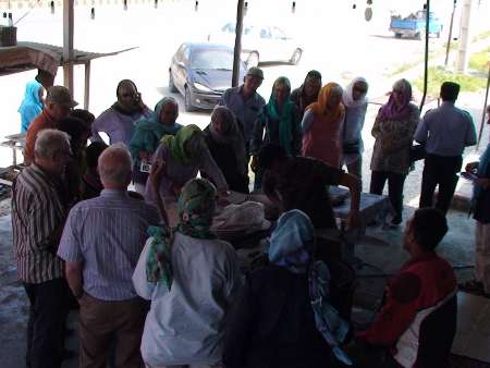 گردشگران هلندي از منطقه گردشگري شلال دون و پل بريم باشت دیدن کردند.