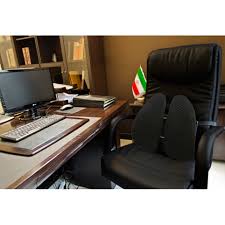 بی نظمی و دستپاچگی برخی مسئولان درفارس :مدیرانی که نه برف تکانشان می دهد نه آتش !