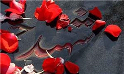 نیاز 154 مزار شهید استان کهگیلویه و بویراحمد به ساماندهی/80 درصد گلزارهای شهدا در کهگیلویه و بویراحمد ساماندهی شد