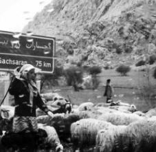 تجمع اعتراضی عشایر گچساران درجلوی فرمانداری؛ دام های ما امنیت ندارند/سارقان حتی روز هم دام های ما را میدزدند!