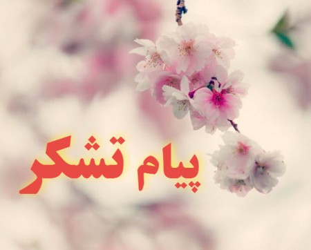 قدردانی وتشکر خانواده "دانشگر " در پی رهایی یک زندانی از بند