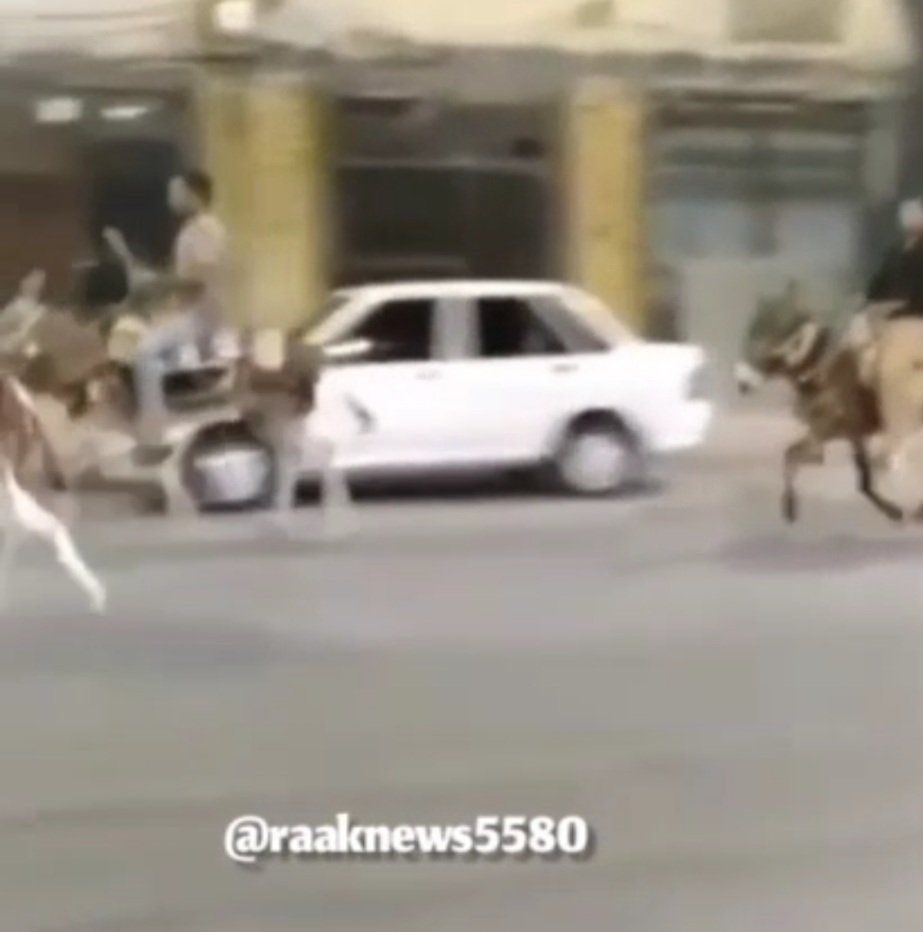 بازداشت الاغ سواران جوان با  دور زدن محدودیت تردد کرونایی