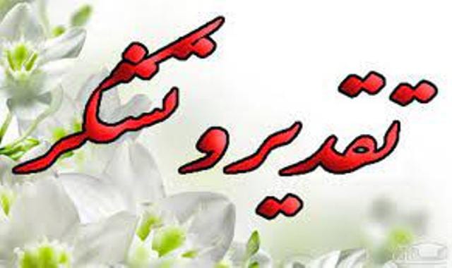 تقدیر مدیر محیط زیست استان از همراهی مردم در مهار آتش سوزی کوه دیل