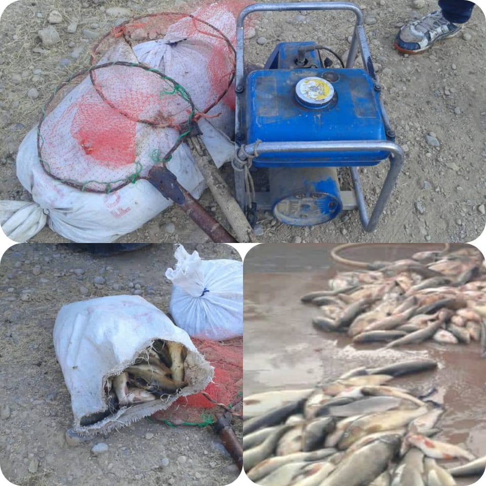 کشف و ضبط یک  دستگاه موتور برق از صیادان ماهی
