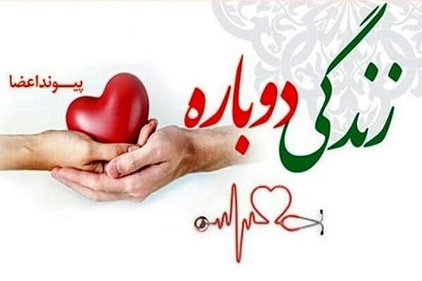 درس گذشت مادر جوان دیلمی لحظه رفتن