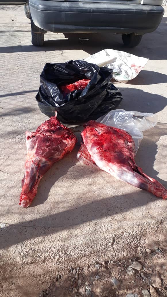 دستگیری  دو گروه متخلف در پارک ملی دنا