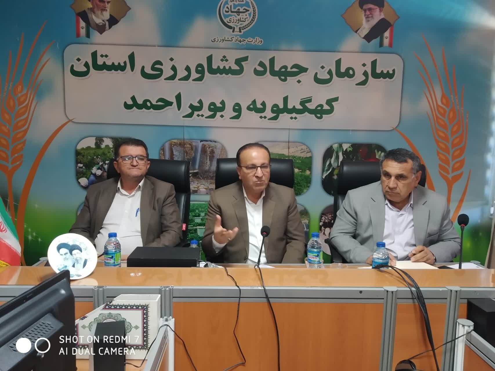 رئیس سازمان جهاد کشاورزی استان کهگیلویه و بویراحمد خبر داد:  افزایش کاشت 290 درصدی گیاهان دارویی
