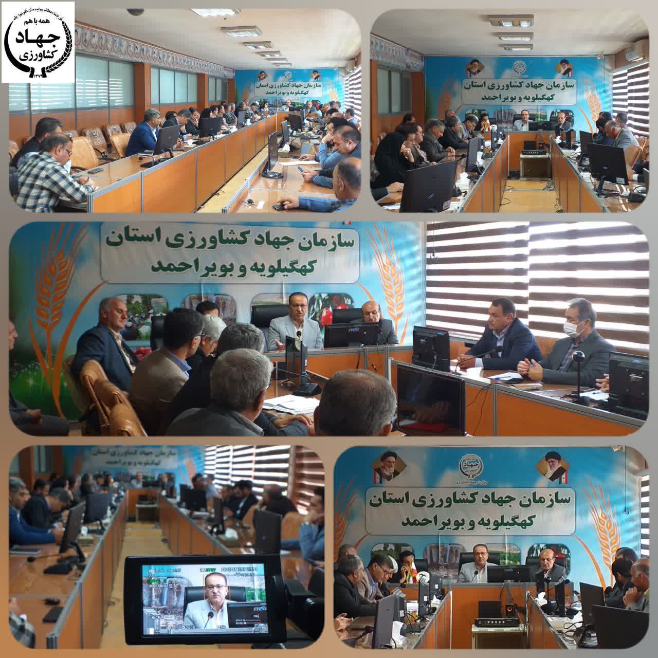 رئیس سازمان جهاد کشاورزی کهگیلویه و بویراحمد: دستاوردهای دولت در بخش کشاورزی، افتخارآمیز است / جهاد کشاورزی در بیان خدمات، مظلوم است