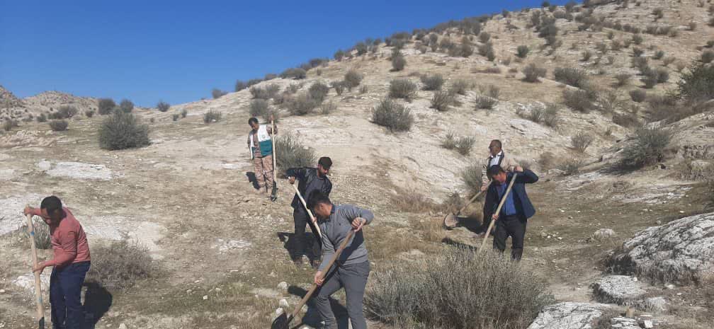 در راستای طرح مردمی کاشت یک میلیارد درخت انجام شد:  آغاز بذرکاری در سطح ۵۰ هکتار از اراضی شهرستان بهمئی+تصاویر