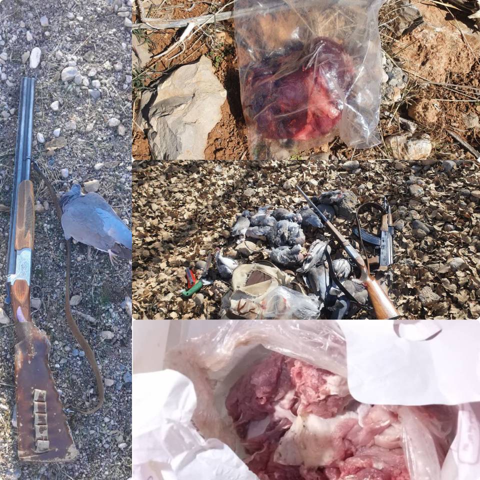 دستگیری 3 گروه متخلف طی 24ساعت در پارک ملی دنا