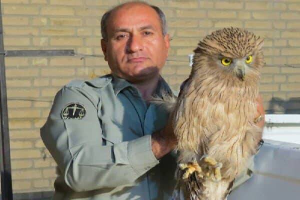 یادداشت معاون رئیس جمهور در خصوص محیط بان خائیز/ دیده بان نظیر نداشت