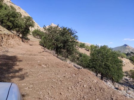 احداث و بازگشائی جاده عشایری برد کر -رود ریش بخش دیشموک/تصاویر احداث و بازگشائی جاده عشایری برد کر -رود ریش بخش دیشموک/تصاویر