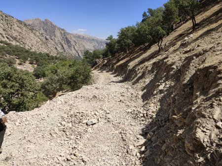احداث و بازگشائی جاده عشایری برد کر -رود ریش بخش دیشموک/تصاویر احداث و بازگشائی جاده عشایری برد کر -رود ریش بخش دیشموک/تصاویر
