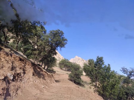 احداث و بازگشائی جاده عشایری برد کر -رود ریش بخش دیشموک/تصاویر احداث و بازگشائی جاده عشایری برد کر -رود ریش بخش دیشموک/تصاویر