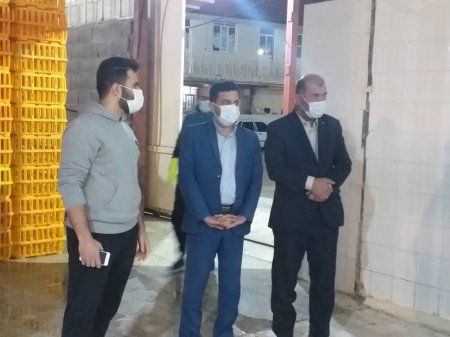 بازرسی شبانه تعزیرات حکومتی کهگیلویه و بویراحمد از مرغداریها و کشتارگاهها بازرسی شبانه تعزیرات حکومتی کهگیلویه و بویراحمد از مرغداریها و کشتارگاهها