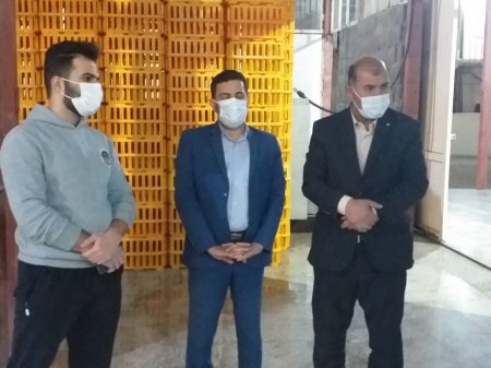 بازرسی شبانه تعزیرات حکومتی کهگیلویه و بویراحمد از مرغداریها و کشتارگاهها بازرسی شبانه تعزیرات حکومتی کهگیلویه و بویراحمد از مرغداریها و کشتارگاهها
