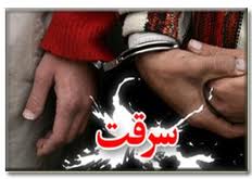 نایب رئیس یکی از انجمنهای ورزشی ایران در برزیل به جرم سرقت بازداشت شد!