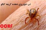 مدیرکل دامپزشکی کهگیلویه و بویراحمد : موردی از بیماری تب کریمه کنگو در استان مشاهده نشده است