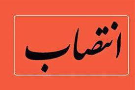 انتصاب  یک هم استانی  در آموزش و پرورش تهران
