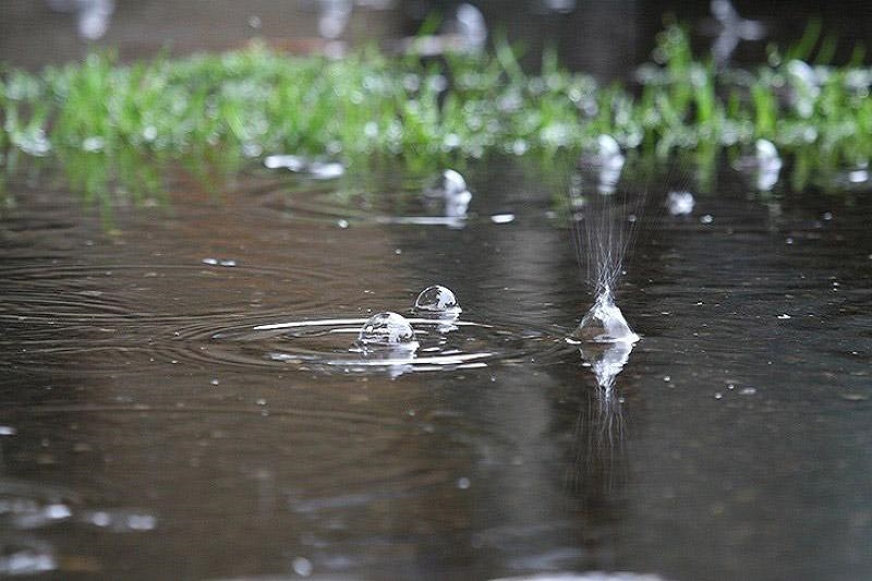پیش بینی بارش های نیمه دوم بهمن در کهگیلویه و بویراحمد/جزییات
