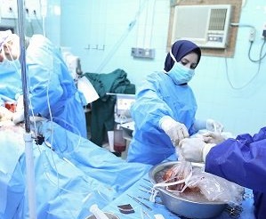 اعضای بدن دومین بیمار مرگ مغزی کهگیلویه و بویراحمد در سال 98 اهدا شد/جزییات