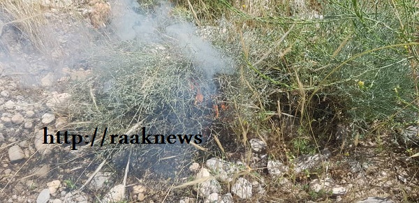 ثبت نخستین آتش سوزی در گچساران در سال جاری+تصاویر