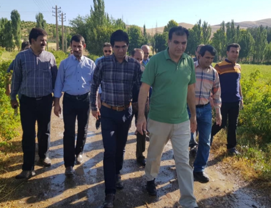 بازدید فعالان اقتصادی کهگیلویه و بویراحمد از مجتمع کشت و صنعت گره بان کرمانشاه