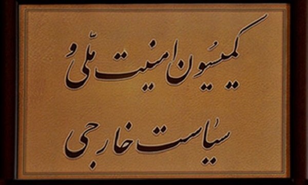 بررسی ناآرامی‌های اخیر در کمیسیون امنیت ملی