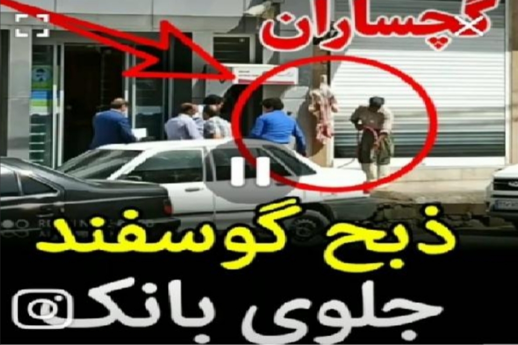 از واقعیت ماجرا تا آنچه که در فضای مجازی منتشر شد: جوابیه اداره کل دامپزشکی کهگیلویه و بویراحمد در خصوص انتشار کلیپی از کشتار دام در ورودی بانکی در شهرستان گچساران