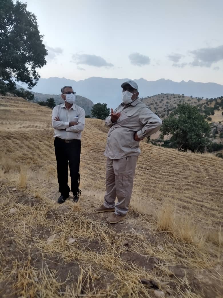 حضور میدانی فرمانده تیپ 48 فتح در آتشسوزی جنگل دمچنار+تصاویر