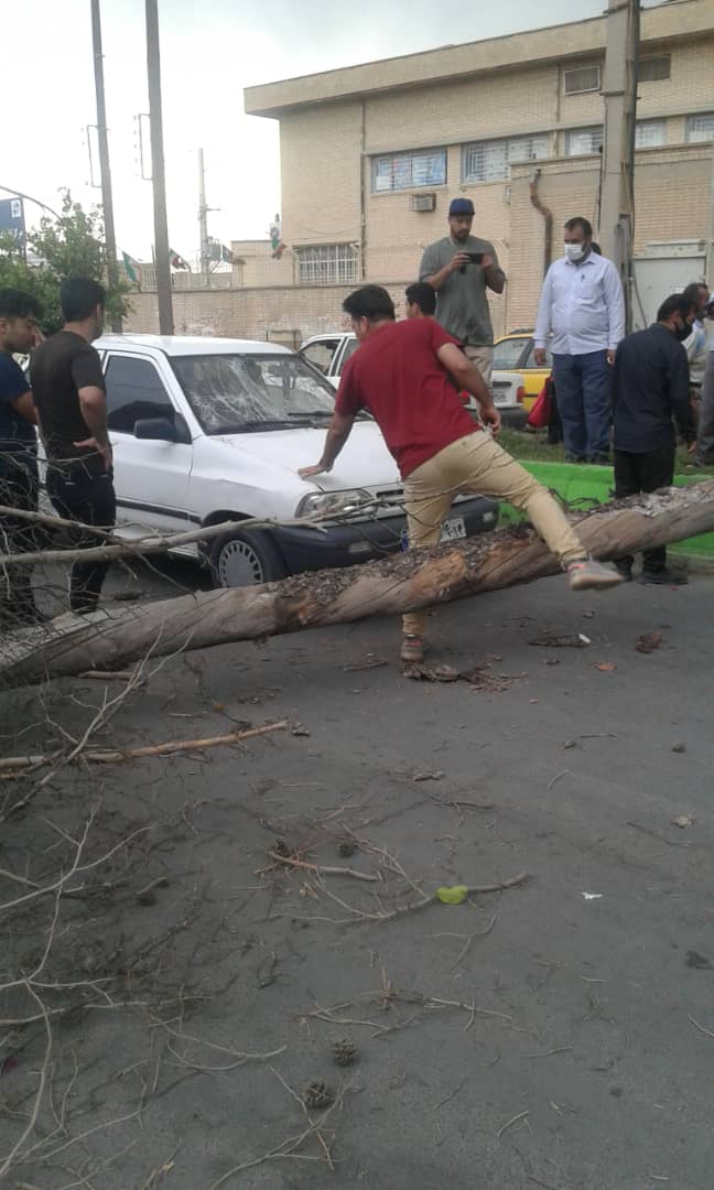 سقوط درخت تنومند و برخورد با خودروی پراید بر اثر وزش باد شدید در خیابان سپاه دهدشت + تصاویر