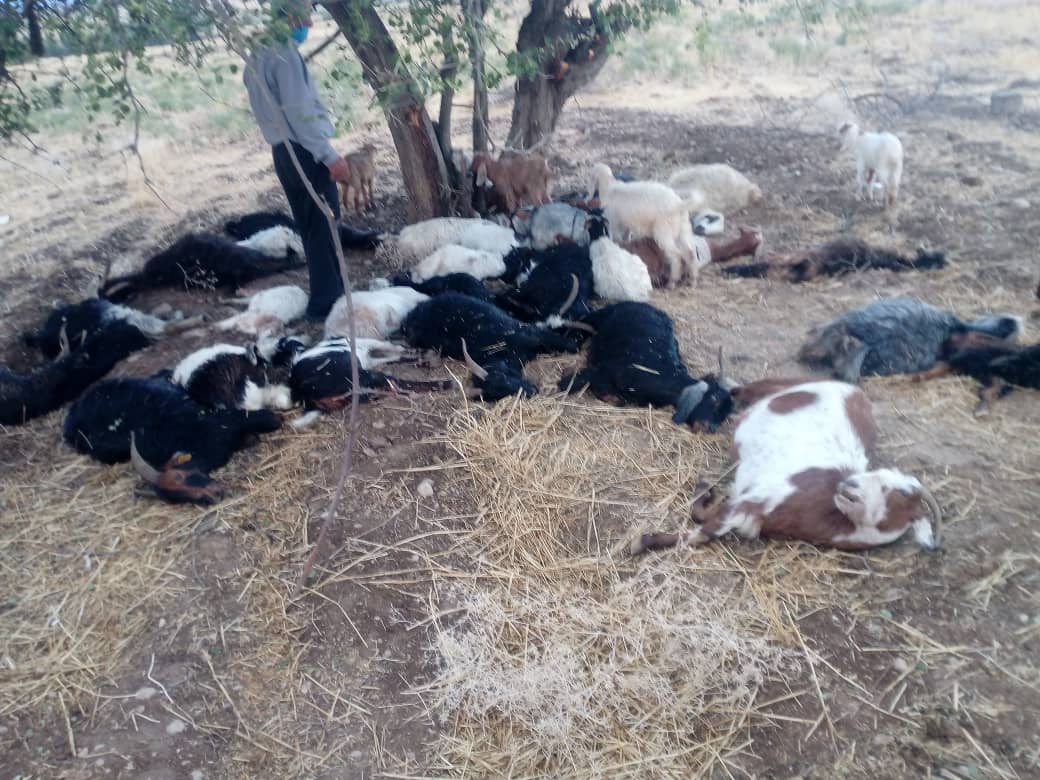 رعد و برق در بخش سوق حادثه آفرید+عکس