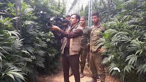 بوی ماریجوانا این خانه محله را پر کرده بود / در کهگیلویه فاش شد