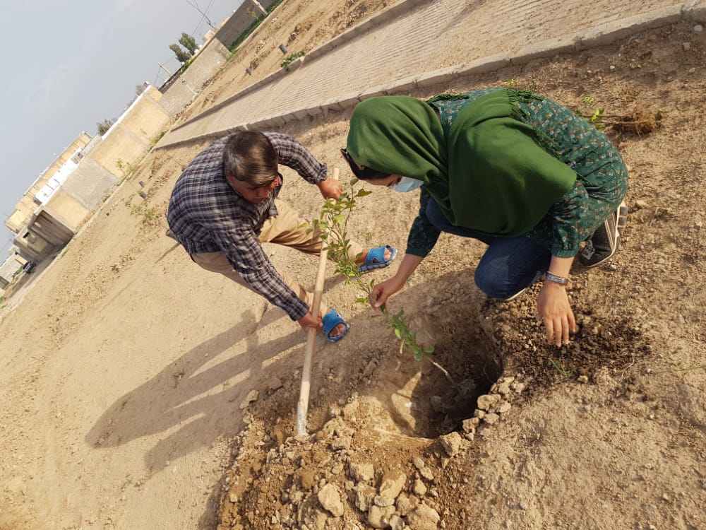 دهدشت با بوی بهارنارنج به استقبال بهار رفت +تصاویر