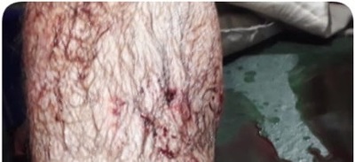 حمله پلنگ به یک مرد در یکی از روستاهای استان کهگیلویه و بویراحمد/تصاویر