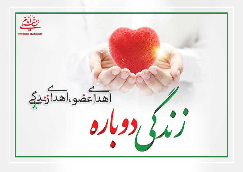 پسر بچه چرامی به 4 نفر زندگی دوباره بخشید