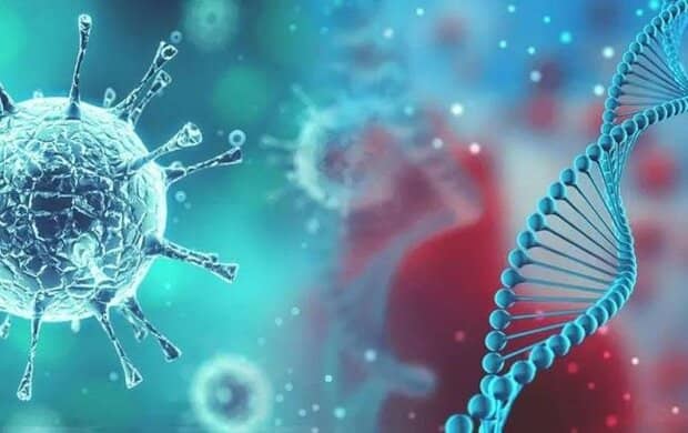 آخرين وضعیت کووید 19 در کهگیلویه و بویراحمد