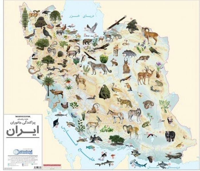 گرامیداشت روز جهانی حیات وحش با شعار "احیای گونه های کلیدی برای باز سازی بوم سازگان " 