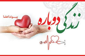 پیام تسلیت مدیرکل آموزش و پرورش استان کهگیلویه و بویراحمد در پی درگذشت نویان دانانژاد 