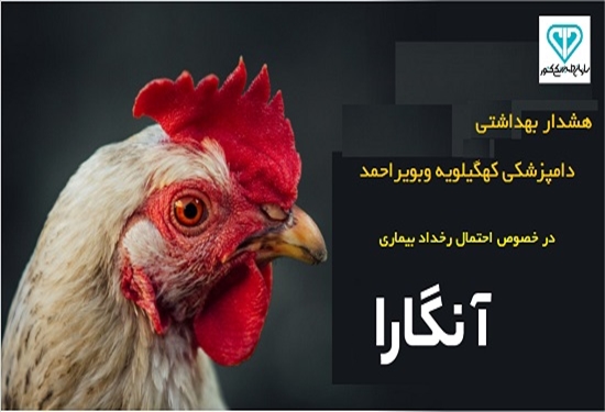 هشدار بهداشتی دامپزشکی کهگیلویه وبویراحمد در خصوص بیماری آنگارا