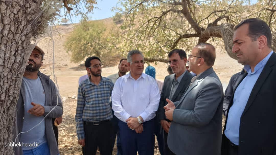 در بازدید سخنگوی کمیسیون کشاورزی مطرح شد :معتمدی‌پور رئیس سازمان جهاد کشاورزی کهگیلویه و بویراحمد: تغییری در روند زندگی آفت برگ‌خوار بلوط ایجاد نشد/ هشدار جدی برای فراگیر شدن خسارات