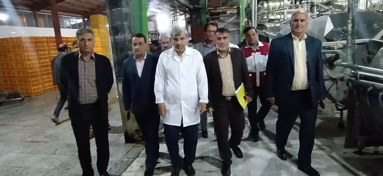 بازدید سرزده نماینده وزیر جهاد از کشتارگاه‌های مرغ کهگیلویه و بویراحمد حسین‌پور: اینجا همه چیز روی نظم است/ عملکرد همکارانم در یاسوج قابل تقدیر است