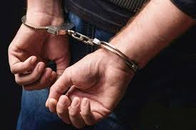 دستگیری سارق باغات کشاورزی با ۱۱ فقره سرقت در کهگیلویه